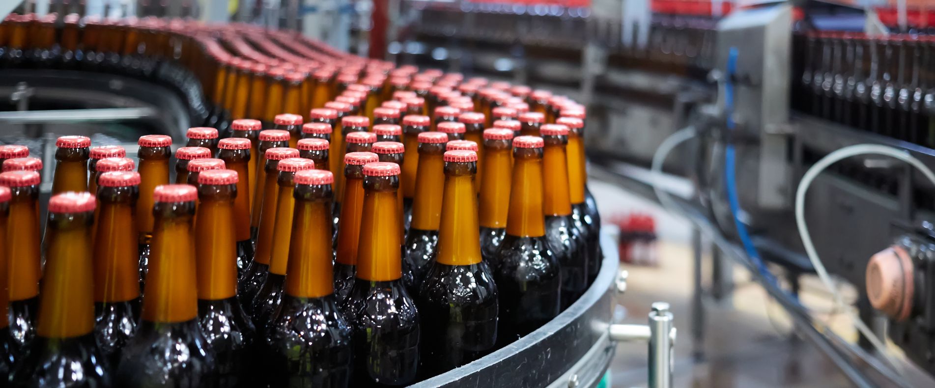 การผลิตเครื่องดื่ม